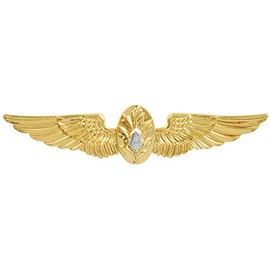 Navy Flight Surgeon Badge Gold Finish