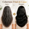 Shampoo Tinte Cubre Canas Ginseng Color Natural Hombre/mujer