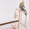 RoseFlower Wooden Bird Playground Parrot Playstand, Bird Perches Stand for