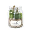Kishima KH-61021 KH-61021 Eclar Deodorizer, Artificial Green