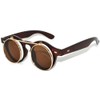 Vintage Steampunk Circle Flip Up Sunglasses Brown Gold Frame Brown