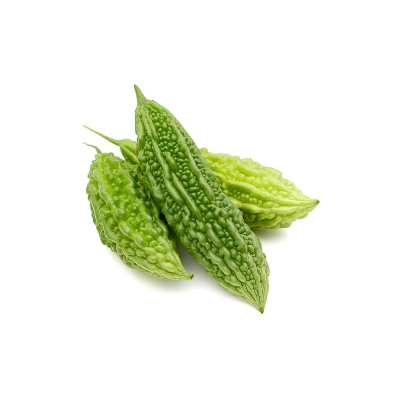 Rani Fresh Bitter Melon 14oz (400g) ~ All Natural |