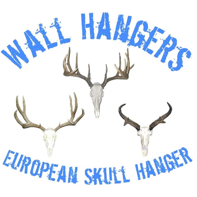 Wall Hangers European Skull Hanger Wall Mount
