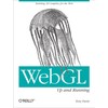 Webgl: Up and Running: Building 3D Graphics for the Web