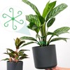 Monstera Plant Support Set with Green Shrub Holders in Various