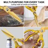 CGBE Kitchen Scissors, Stainless Steel Household Scissors, Heavy Duty, Dishwasher