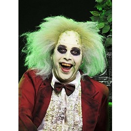 Adult Deluxe Beetlejuice Style Wig Headpiece one size