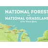 US National Forests & Grasslands Map 18x24 Poster (Green &