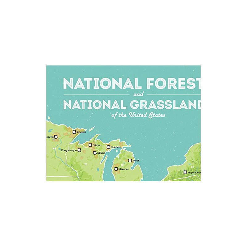 US National Forests & Grasslands Map 18x24 Poster (Green &