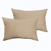 Sorra Home Beige Indoor/Outdoor Knife Edge Pillow Set, 14 in