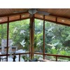 Anti-Collision Window Bird Stickers Decals Glass Door Protection and Save