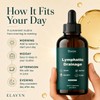 ELAVYN Lymphatic Drainage Drops, Maximum Potency Formula,Fluid Retention