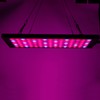 13W LED Grow Light Full Spectrum Panel Grow Lamp for