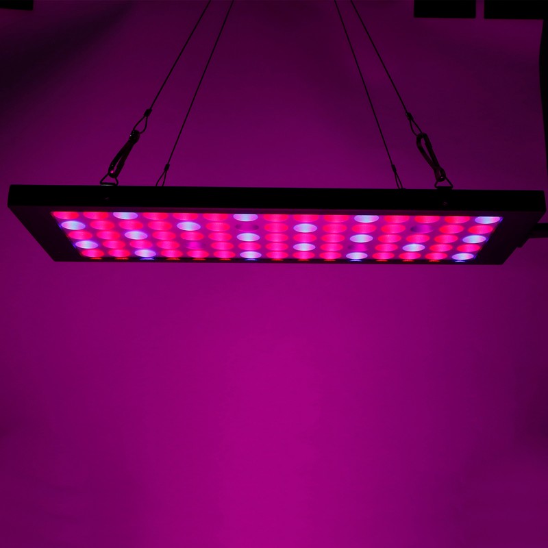 13W LED Grow Light Full Spectrum Panel Grow Lamp for