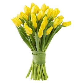 Blooms2Door 30 Yellow Tulips (Farm-Fresh Flowers, Cut-to-Order, and Homegrown in the USA)