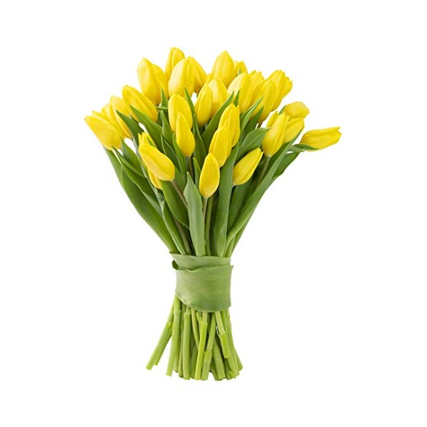 Blooms2Door 30 Yellow Tulips (Farm-Fresh Flowers, Cut-to-Order, and Homegrown in