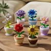 Sacblirr 6 Set Mini Flower Bonsai DIY Potted Plant Building