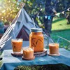Jans Boba Milk Tea (Pack of 12, Thai Tea Non