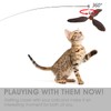 cobee Cat Feather Propeller Wall Toy, Cat Feather Toy Replacement,