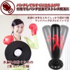 AINetJP Premium Sandbag Air Standing Bag Boxing Training with Air