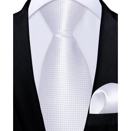 DiBanGu Boys Pre-tied Neckties and Pocket Square Set Adjustable Strap Tie for Kids Wedding Party Graduation School Uniforms, Pale White