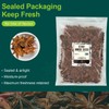 Soeos Star Anise Seeds 16 ounce (1 lb), Whole Chinese