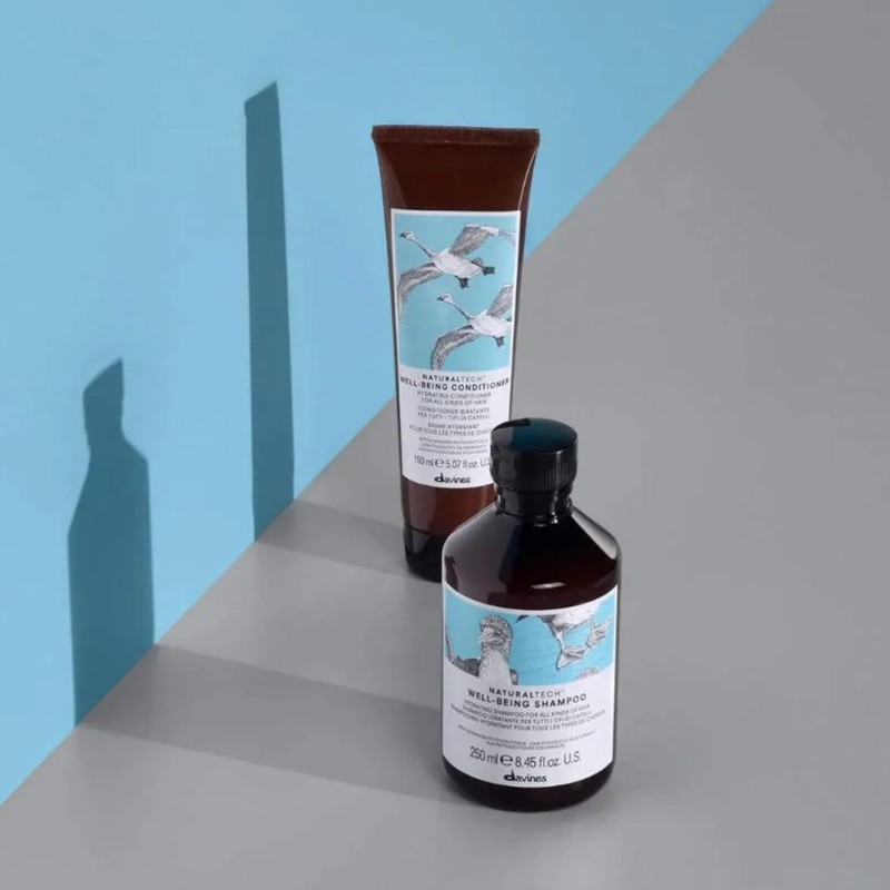 Davines Naturaltech WELLBEING Conditioner, Detangle While Adding Moisture And Shine,