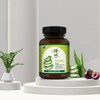 상쾌한변수 알로에정 360정 X 1병 (3개월분) Refreshing Variable Aloe Tablets