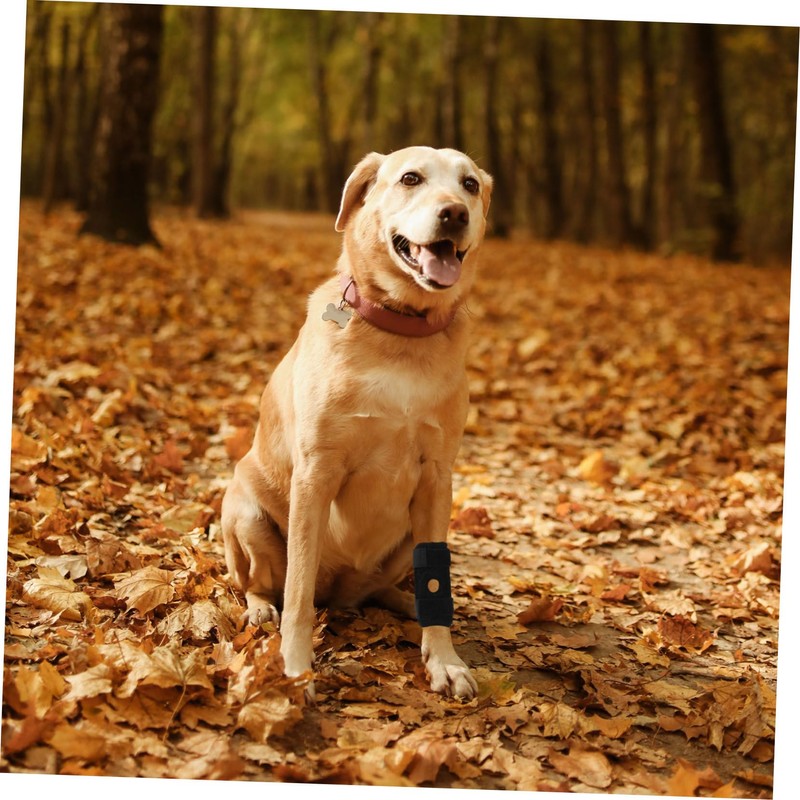 Ciieeo Dog Protective Gear Breathable Knee Pads Leg Brace Adjustable