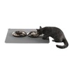 SHENGOCASE 2-Pack 7.3" Extra Wide Oval Shallow Cat Food Bowls
