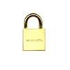 Wake Sangyo TWE Cylinder Lock, Brass, 1.0 inches (25 mm),