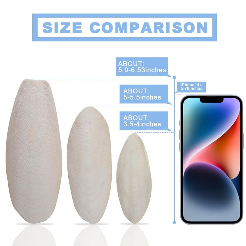 Jmxu's 3.5"-4" Cuttlebone for Birds Parakeets, Cuddle Bone with Metal