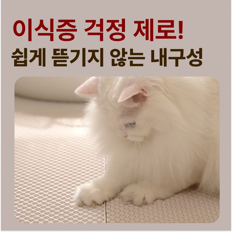 Fitpet Bundle Set Nyang쌤 Cat Litter Mat Sand Tracking Prevention