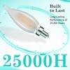 AMDTU E12 40 Watt Equivalent Frosted Small Base LED Bulb