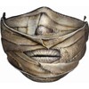 Spiral - MUMMIFIED - Premium Cotton Fashion Mask with Adjuster