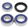 All Balls Racing Rear Wheel Bearing Kit 25-1087 Compatible with/Replacement