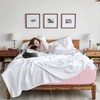 AR Ware Double Fitted Sheet 100% Egyptian Cotton 300 TC,