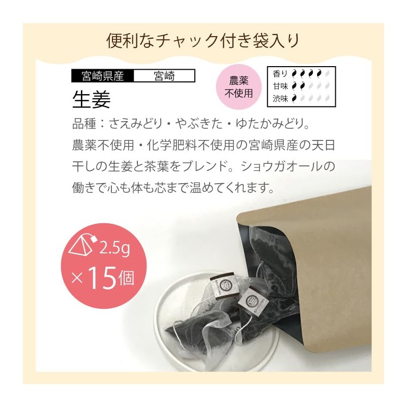 Kigokoro Value Japanese Black Tea Ginger Tea Bag, 0.1 oz