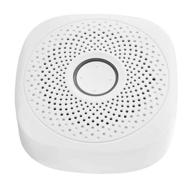 Combustible Gas Leak Detector Built in Speaker Smart Gas Alarm