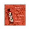 Tratamiento Shampoo Anticaída Árbol Verde 4pzs Romero Sábila
