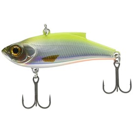 basudei Orc renzibaibu 55ES 2015 Year Color