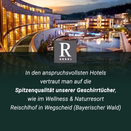 ZOLLNER 352 Tea Towels, 65 x 65 cm, 100% Cotton, 236 g/m², Set of 6, Mint