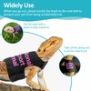 Bearded Dragon Lizards Clothes with Leash Set - Cute Lizard