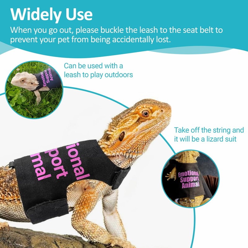 Bearded Dragon Lizards Clothes with Leash Set - Cute Lizard