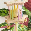 Bird Stand Perch Toy,Interactive Rocking Parakeet Toy and Perch, Wooden