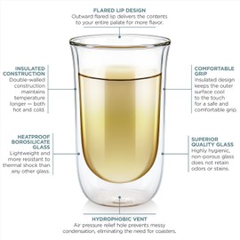 Teabloom Tulip Insulated Glasses for Tea, Coffee and other Beverages - Double Walled Borosilicate Glass Keeps Drinks Hot/Cold, 12 oz (Set of Two)