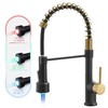 GIMILI Black and Gold Kitchen Faucet with Pull Down Sprayer