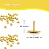 300 Metal Drawing Push Pins, Brass Thumb Tacks for Notice
