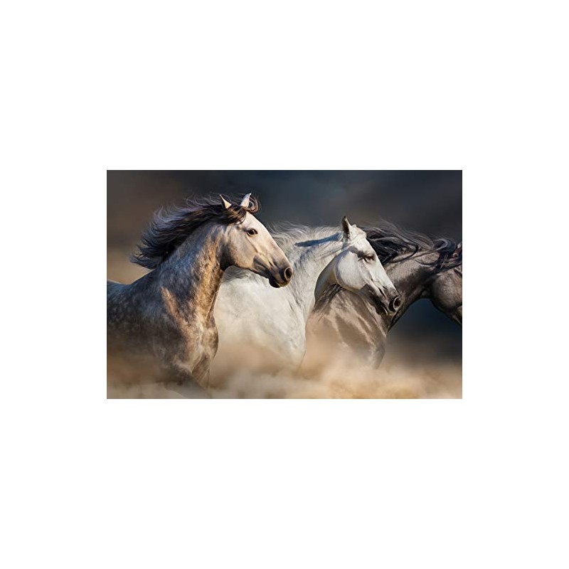DV DESIGN Beautiful Wild Horse Black Ballpoint Pen - Pony