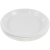 JAM Paper Round Plastic Party Plates - Medium - 9